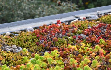 the cost of Harpsden Bottom green roof installation