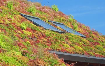 Harpsden Bottom living roof systems